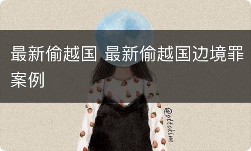 最新偷越国 最新偷越国边境罪案例