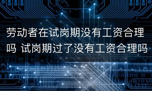 劳动者在试岗期没有工资合理吗 试岗期过了没有工资合理吗