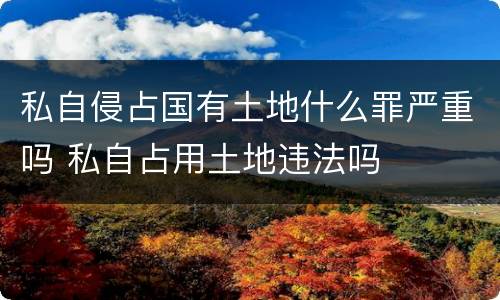 私自侵占国有土地什么罪严重吗 私自占用土地违法吗