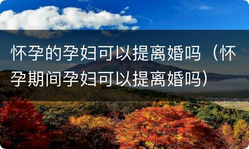怀孕的孕妇可以提离婚吗（怀孕期间孕妇可以提离婚吗）