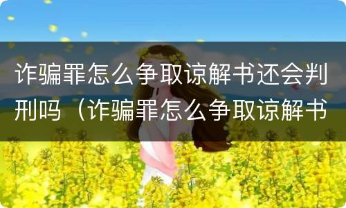 诈骗罪怎么争取谅解书还会判刑吗（诈骗罪怎么争取谅解书还会判刑吗知乎）