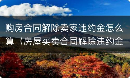 购房合同解除卖家违约金怎么算（房屋买卖合同解除违约金）