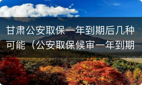 甘肃公安取保一年到期后几种可能（公安取保候审一年到期后多久结案）