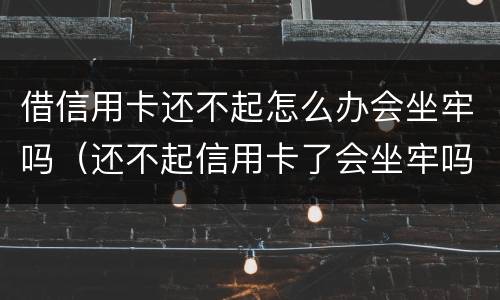 借信用卡还不起怎么办会坐牢吗（还不起信用卡了会坐牢吗）