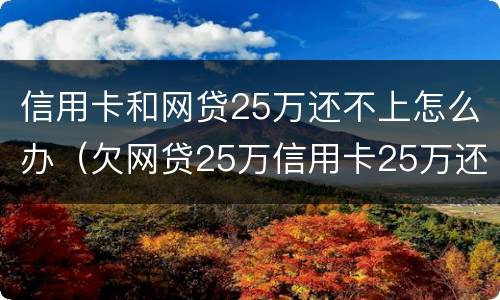 信用卡和网贷25万还不上怎么办（欠网贷25万信用卡25万还不上）