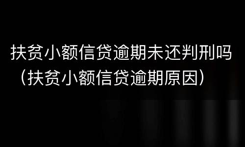 扶贫小额信贷逾期未还判刑吗（扶贫小额信贷逾期原因）