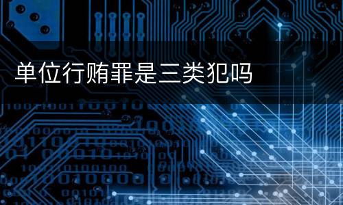 单位行贿罪是三类犯吗