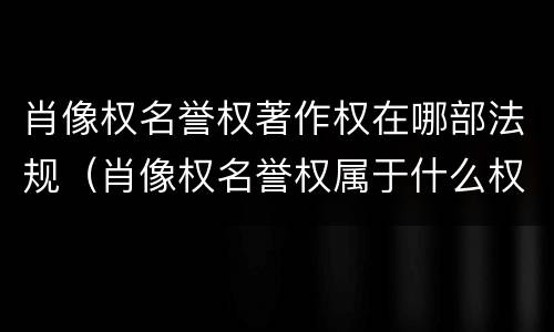 肖像权名誉权著作权在哪部法规（肖像权名誉权属于什么权）
