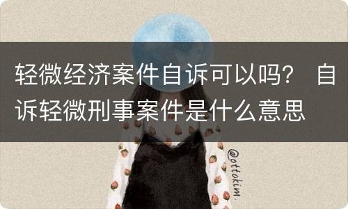 轻微经济案件自诉可以吗？ 自诉轻微刑事案件是什么意思