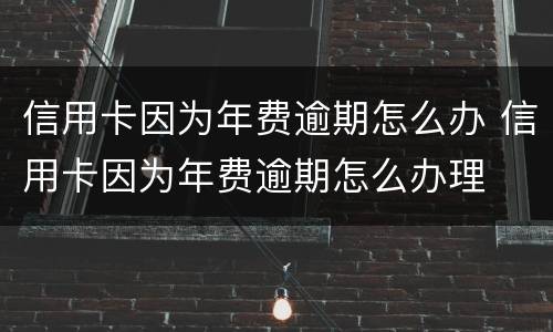 信用卡因为年费逾期怎么办 信用卡因为年费逾期怎么办理