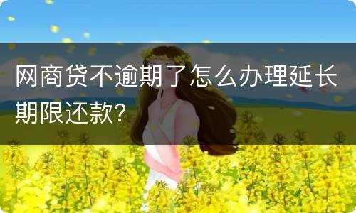 网商贷不逾期了怎么办理延长期限还款？