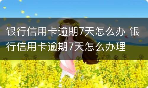 银行信用卡逾期7天怎么办 银行信用卡逾期7天怎么办理
