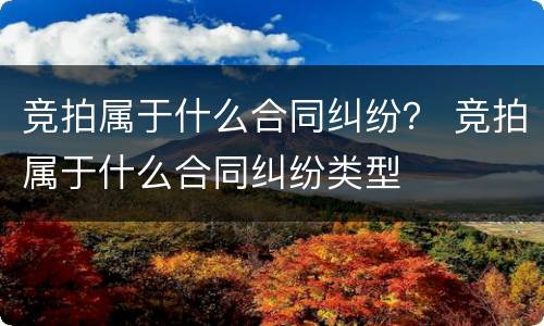竞拍属于什么合同纠纷？ 竞拍属于什么合同纠纷类型
