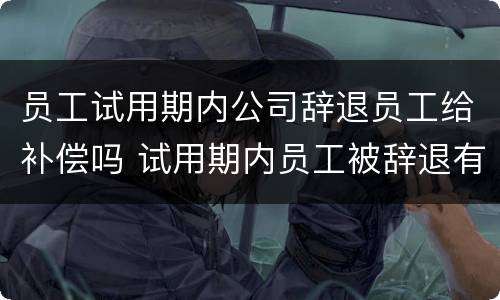 员工试用期内公司辞退员工给补偿吗 试用期内员工被辞退有没有补偿