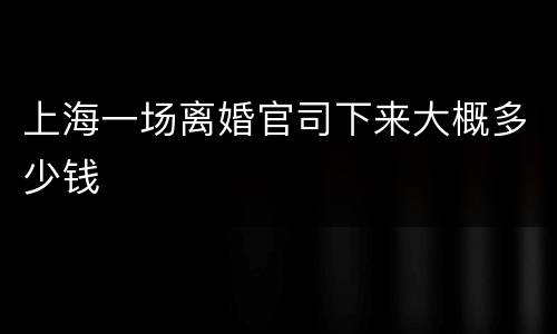 上海一场离婚官司下来大概多少钱