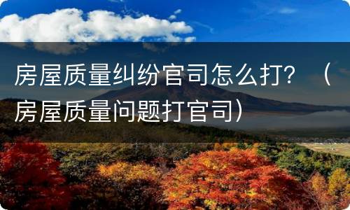 房屋质量纠纷官司怎么打？（房屋质量问题打官司）