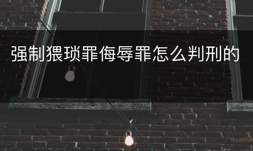 强制猥琐罪侮辱罪怎么判刑的