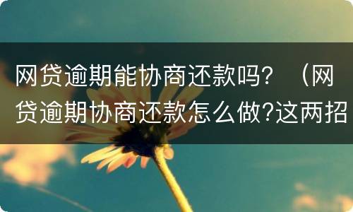 网贷逾期能协商还款吗？（网贷逾期协商还款怎么做?这两招就够了）