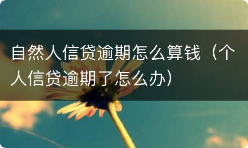 自然人信贷逾期怎么算钱（个人信贷逾期了怎么办）