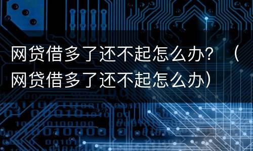 网贷借多了还不起怎么办？（网贷借多了还不起怎么办）