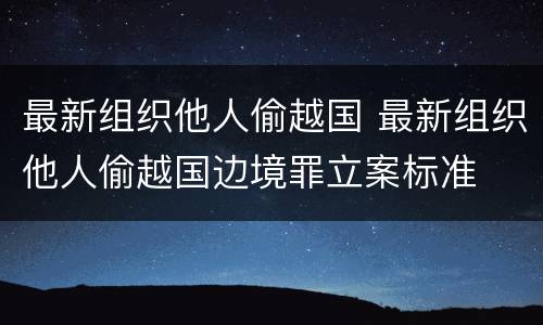 最新组织他人偷越国 最新组织他人偷越国边境罪立案标准