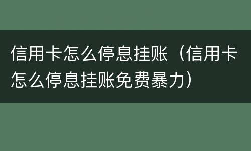 信用卡怎么停息挂账（信用卡怎么停息挂账免费暴力）