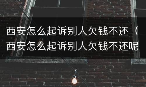 西安怎么起诉别人欠钱不还（西安怎么起诉别人欠钱不还呢）