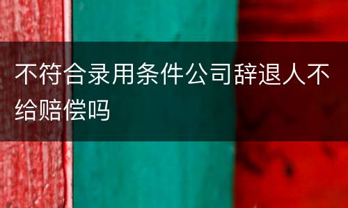 不符合录用条件公司辞退人不给赔偿吗