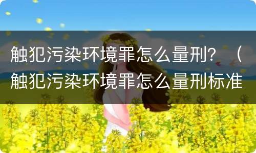 触犯污染环境罪怎么量刑？（触犯污染环境罪怎么量刑标准）