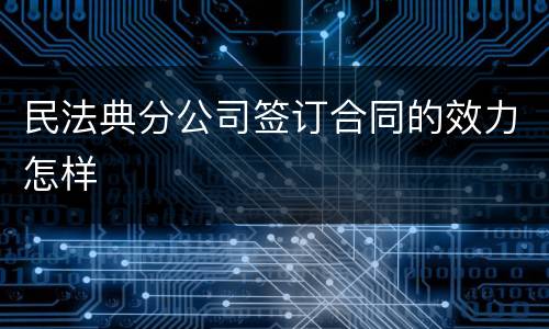 民法典分公司签订合同的效力怎样