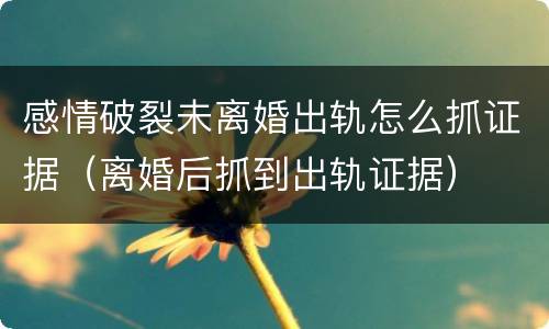 感情破裂未离婚出轨怎么抓证据（离婚后抓到出轨证据）