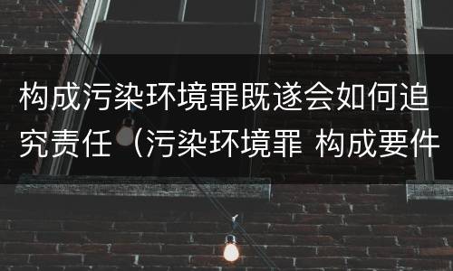 构成污染环境罪既遂会如何追究责任（污染环境罪 构成要件）