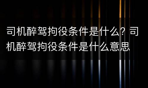 司机醉驾拘役条件是什么? 司机醉驾拘役条件是什么意思