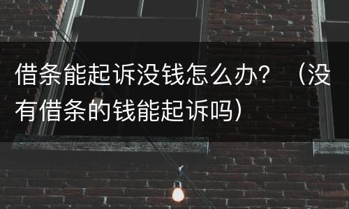 借条能起诉没钱怎么办？（没有借条的钱能起诉吗）