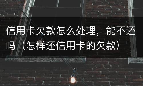 信用卡欠款怎么处理，能不还吗（怎样还信用卡的欠款）