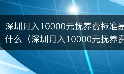 深圳月入10000元抚养费标准是什么（深圳月入10000元抚养费标准是什么呢）