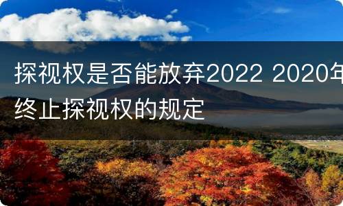 探视权是否能放弃2022 2020年终止探视权的规定