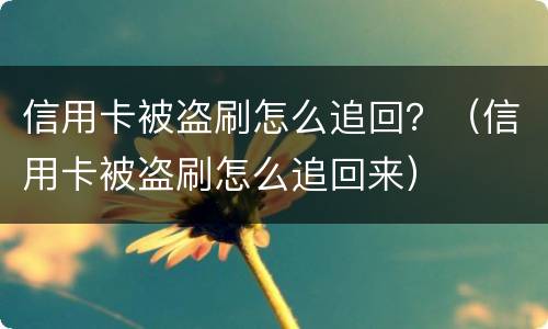 信用卡被盗刷怎么追回？（信用卡被盗刷怎么追回来）