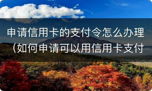 申请信用卡的支付令怎么办理（如何申请可以用信用卡支付）
