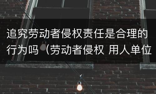 追究劳动者侵权责任是合理的行为吗（劳动者侵权 用人单位如何追偿指导案例）