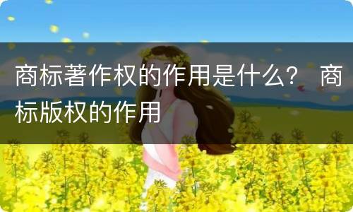 商标著作权的作用是什么？ 商标版权的作用