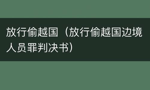 放行偷越国（放行偷越国边境人员罪判决书）