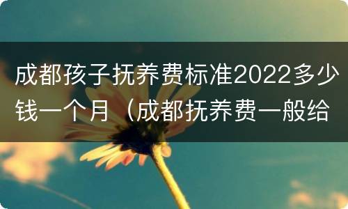 成都孩子抚养费标准2022多少钱一个月（成都抚养费一般给多少）