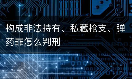 构成非法持有、私藏枪支、弹药罪怎么判刑
