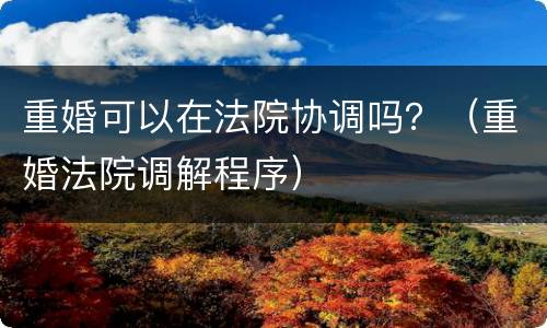重婚可以在法院协调吗？（重婚法院调解程序）