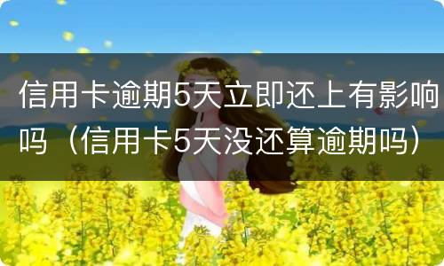 信用卡逾期5天立即还上有影响吗（信用卡5天没还算逾期吗）