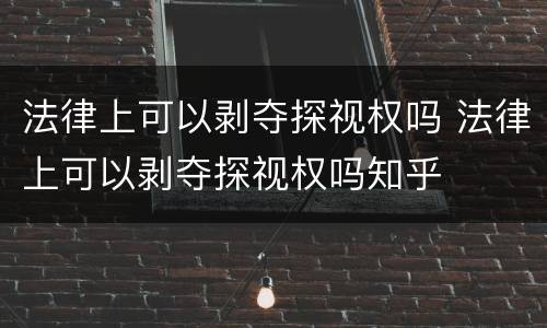法律上可以剥夺探视权吗 法律上可以剥夺探视权吗知乎