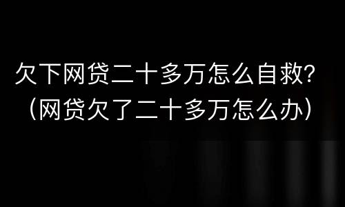 欠下网贷二十多万怎么自救？（网贷欠了二十多万怎么办）