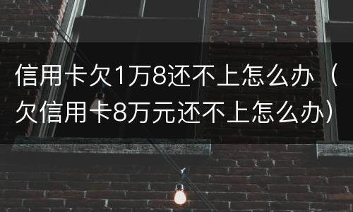 信用卡欠1万8还不上怎么办（欠信用卡8万元还不上怎么办）