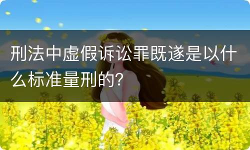 刑法中虚假诉讼罪既遂是以什么标准量刑的？